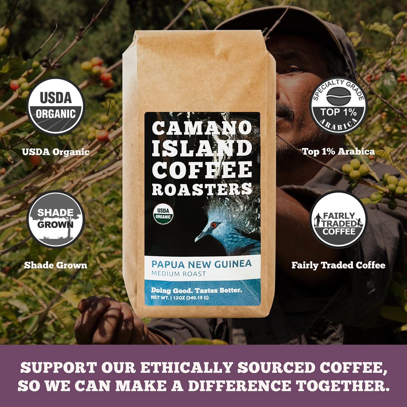 Papua New Guinea Whole Bean 12oz Fresh Medium Roast, USDA Organic, Fairly Tra…