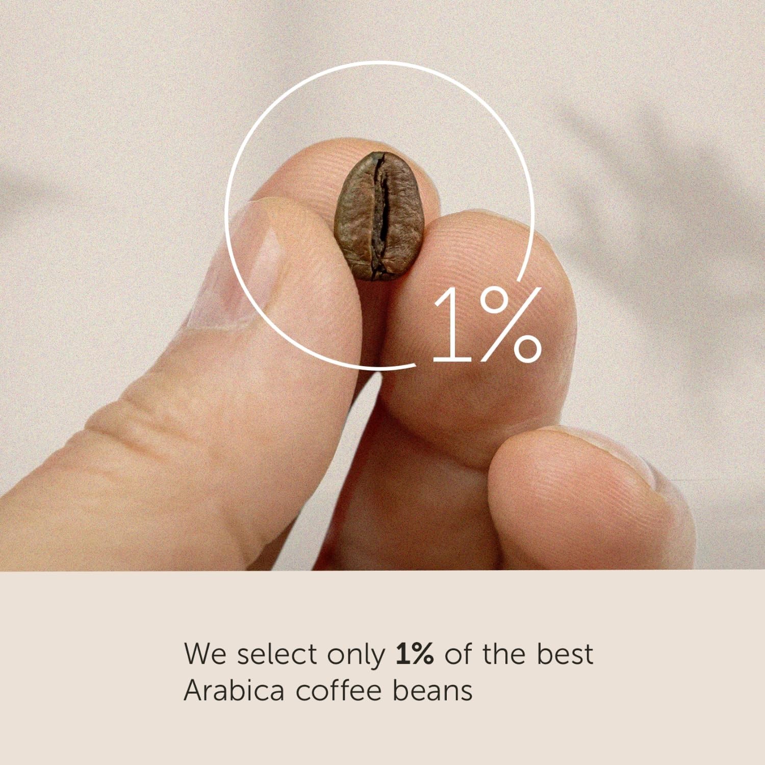 100% Arabica Coffee Illy Classico Whole Bean Coffee, Medium Roast, Classic Roast