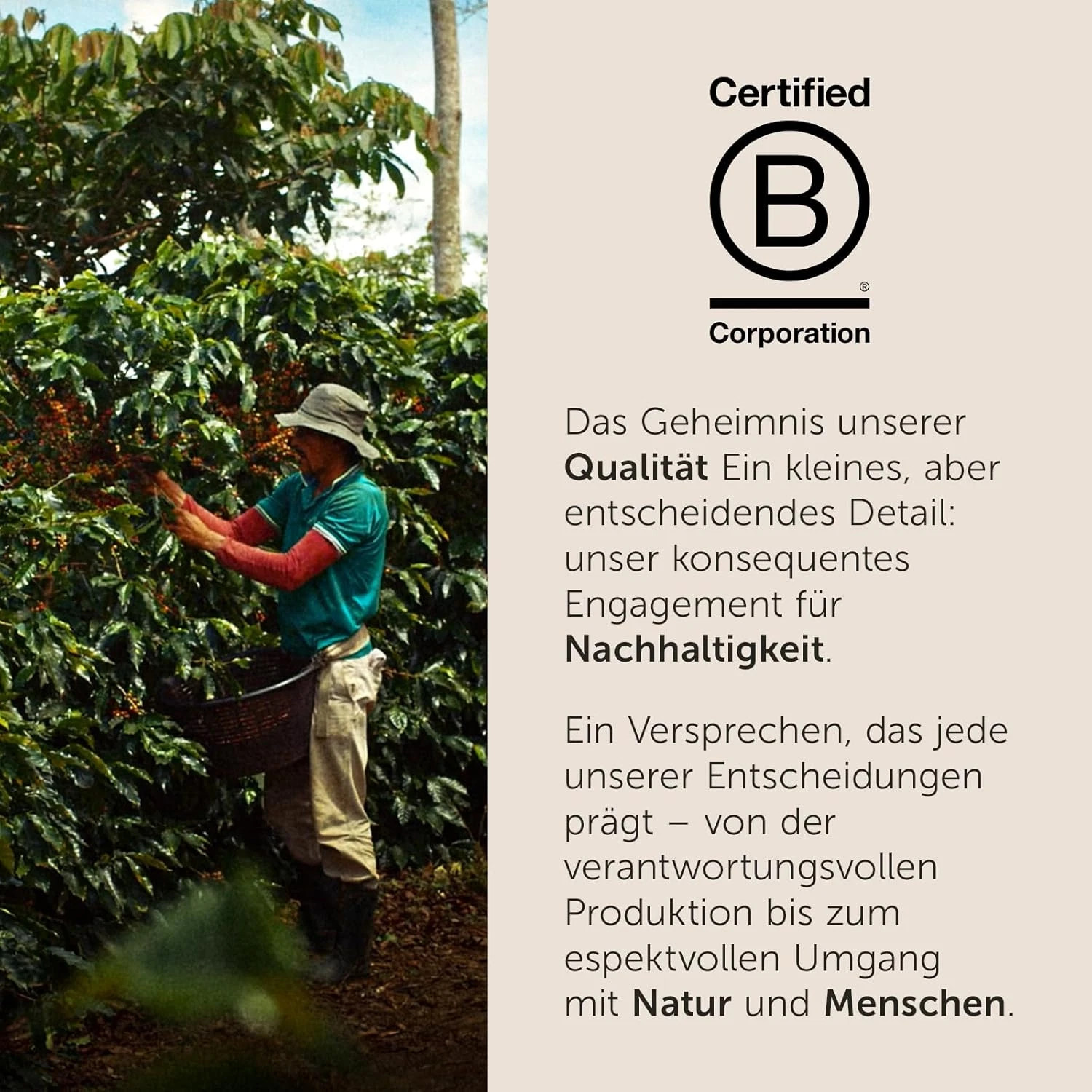 illy Arabica Selection Nicaragua Coffee Beans 100% Arabica 8.80oz / 250g Tin