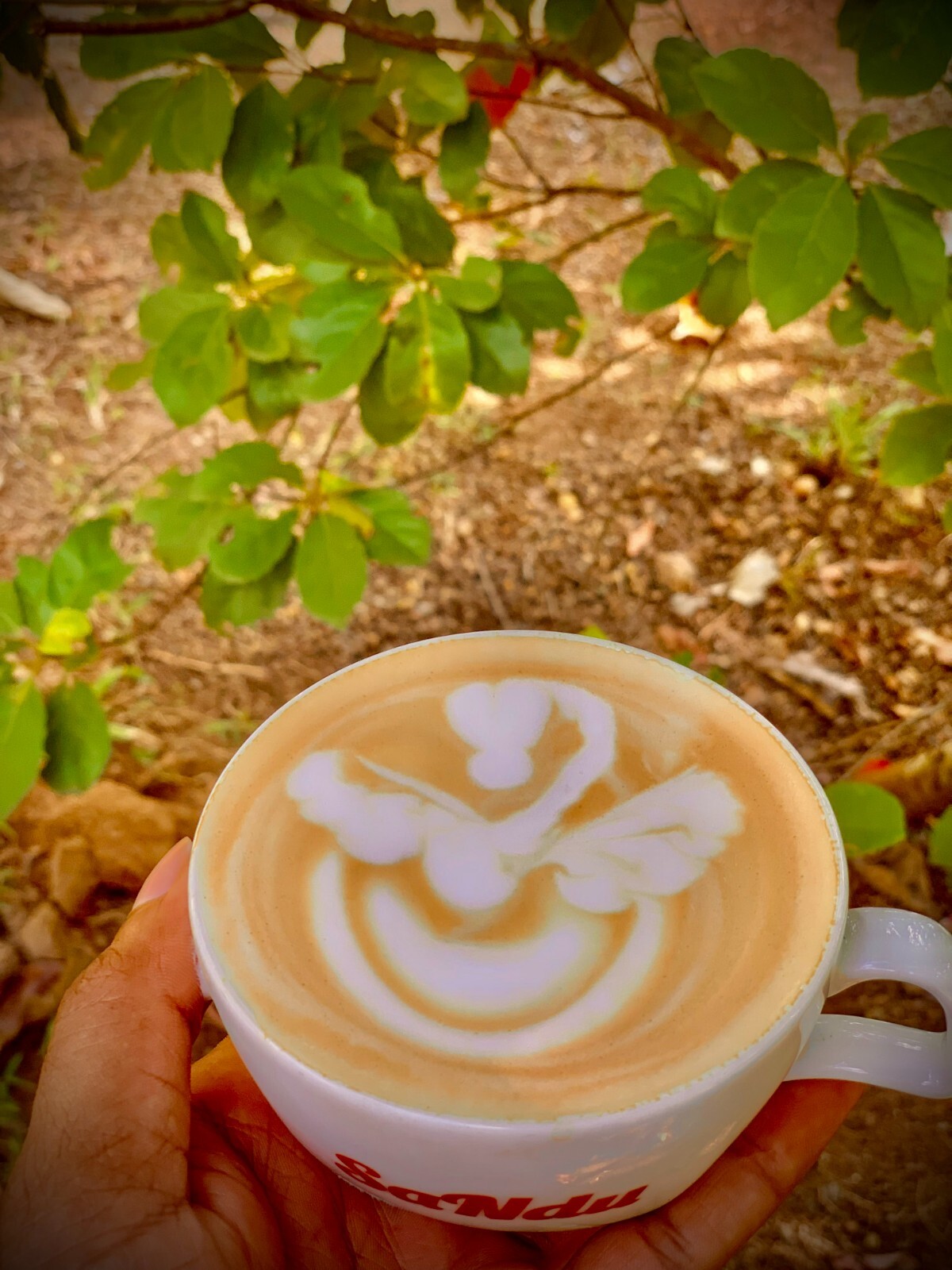 fresh roasted coffee  whole beans coffee, organic coffee