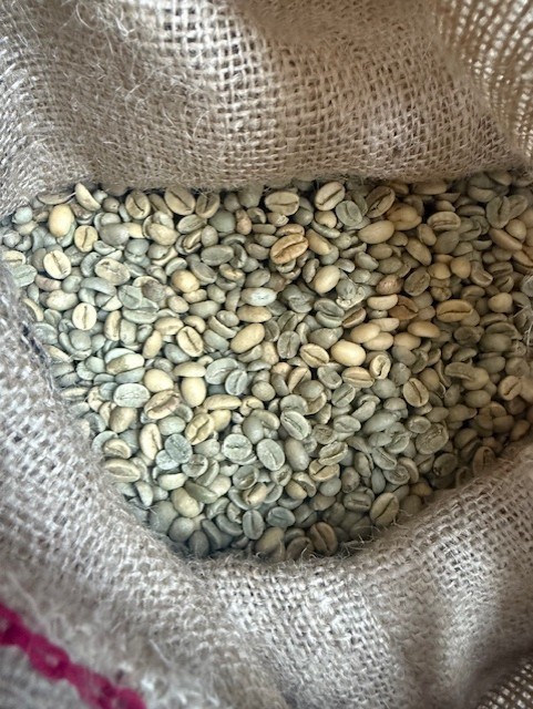Indonesia Java Estate Premium Green Coffee Beans | Last Rites Coffee Co
