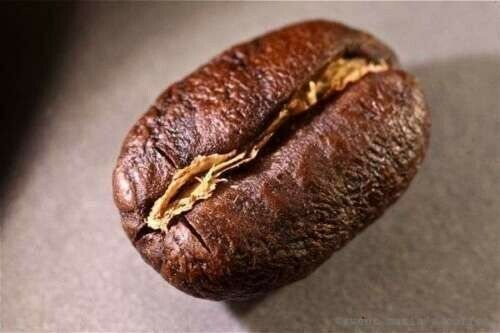 COSTA RICAN TARRAZU PEABERRY COFFEE BEANS MEDIUM ROASTED 2 POUNDS – 1 POUND BAGS