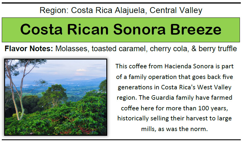 Costa Rican Sonora Breeze – 312g, 11oz Bag