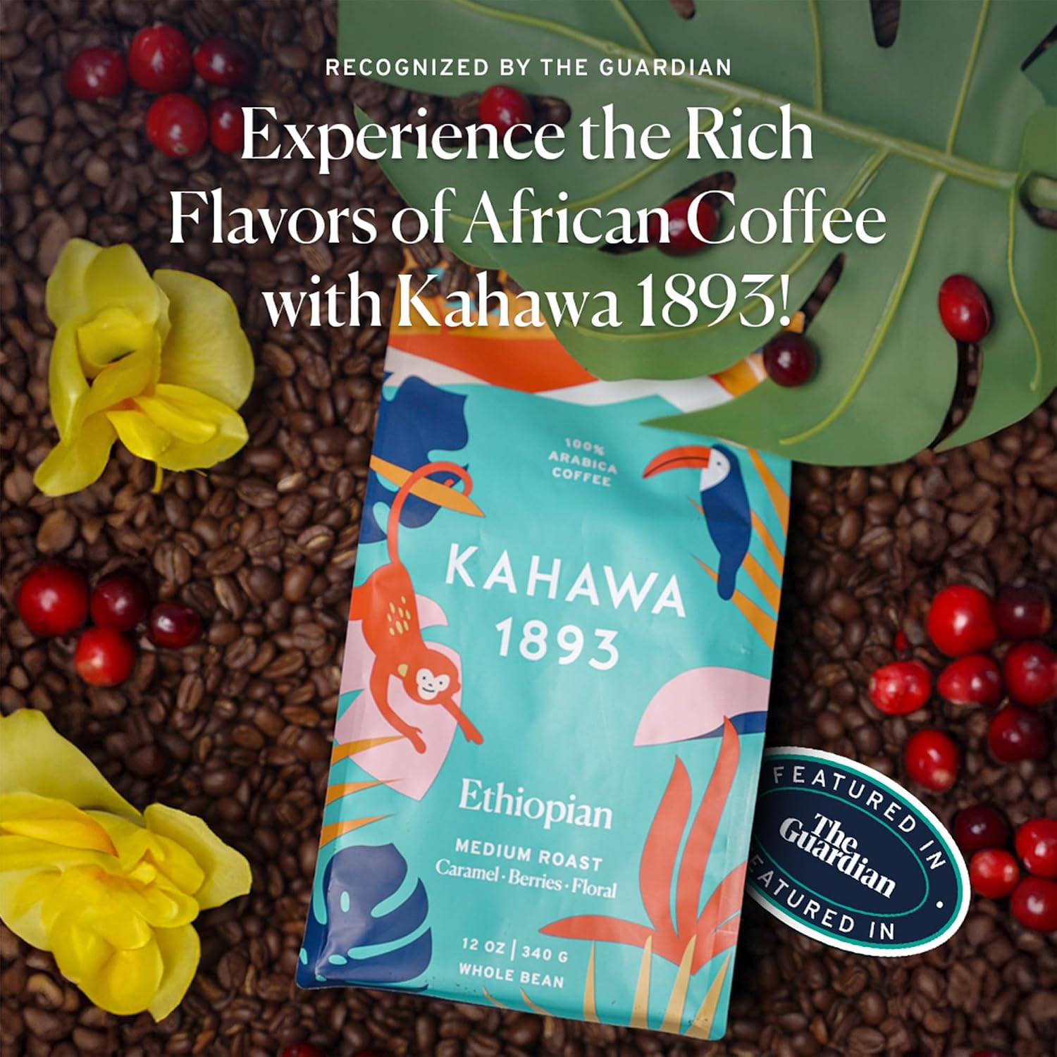 Whole Bean Coffee Medium Light Roast Ethiopian Blend 24 Oz – as Seen on Shark Ta