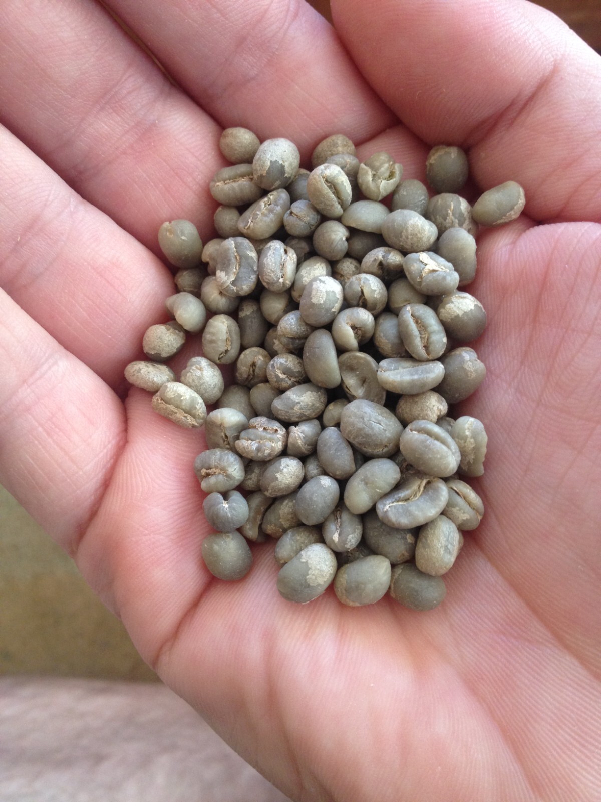 4 lbs Green Coffee – Tanzania peaberry – specialty grade green beans