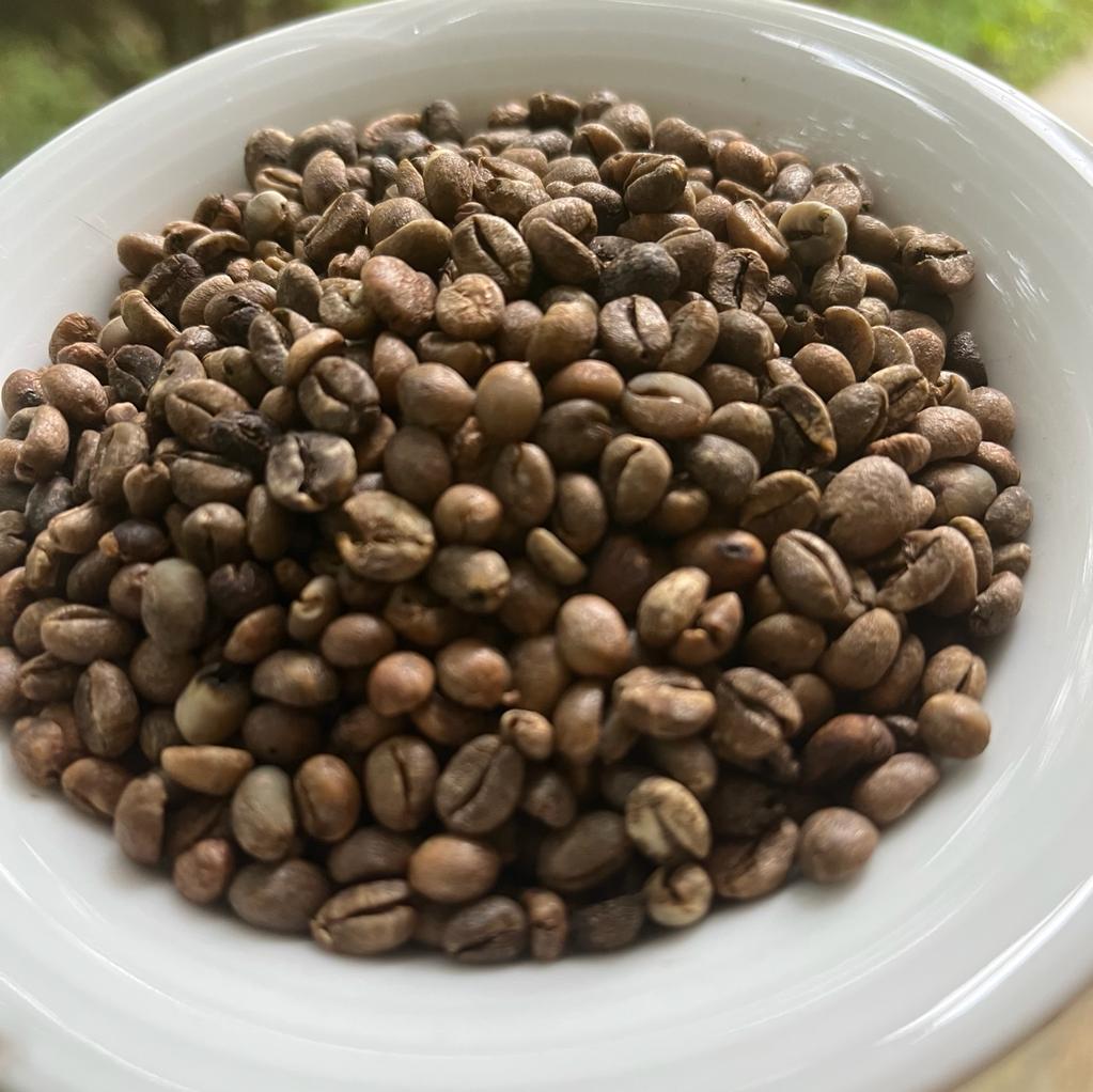 Coffee Beans Unroasted 100% Organic Pure Fresh Natural Best Quality Ceylon 100g