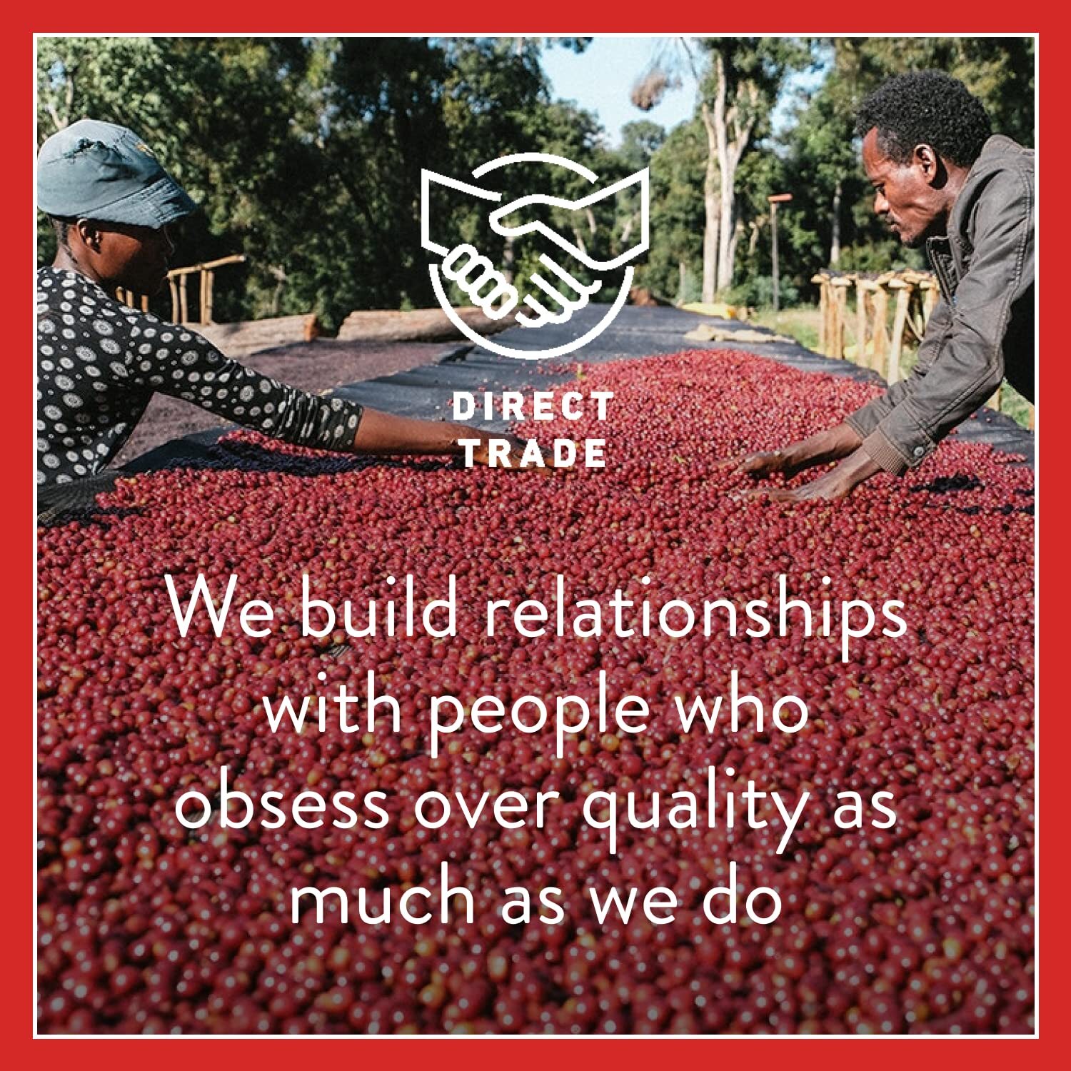 Intelligentsia House Blend Whole Bean Coffee 12 Ounce Bag Direct Trade Freshness