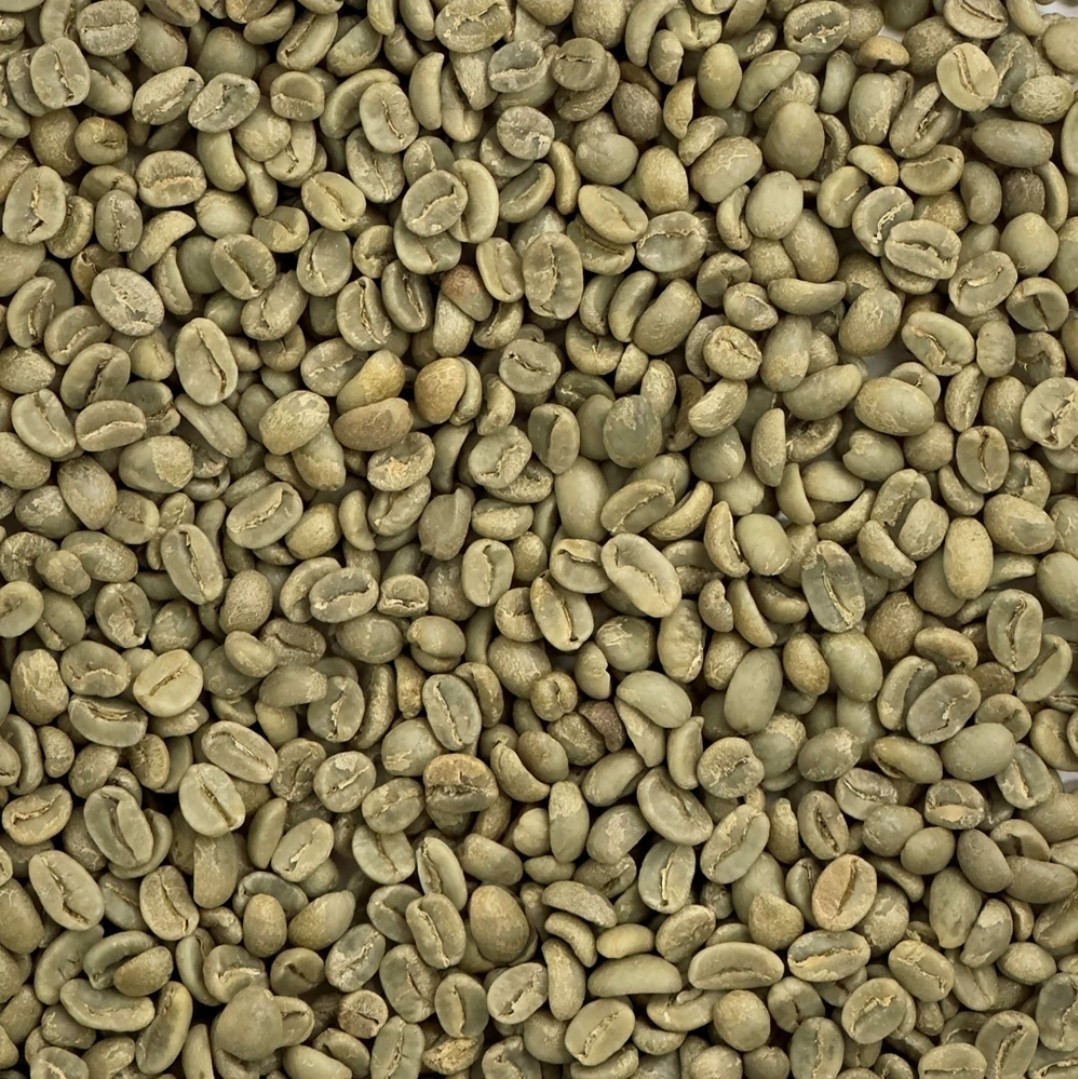 Green Coffee Beans / Peruvian San Martin / 1 Pound / UNROASTED