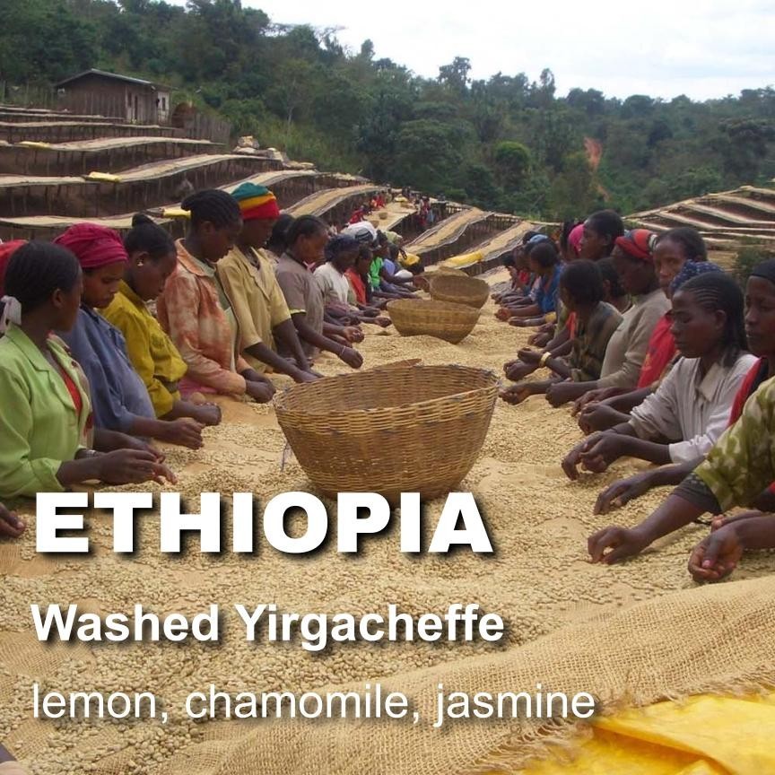 Ethiopia washed Yirgacheffe, unroasted green coffee, small farm coop, 4lbs