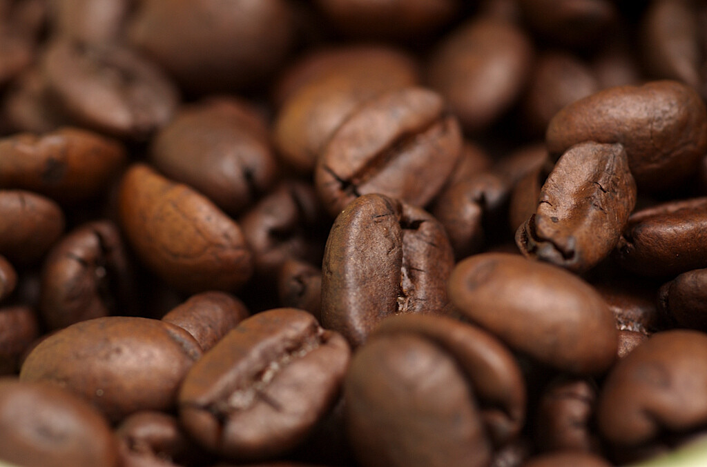 2026 3 Bags of Premium Roast Coffee (36 oz), Fresh Roasted Daily, Whole Bean