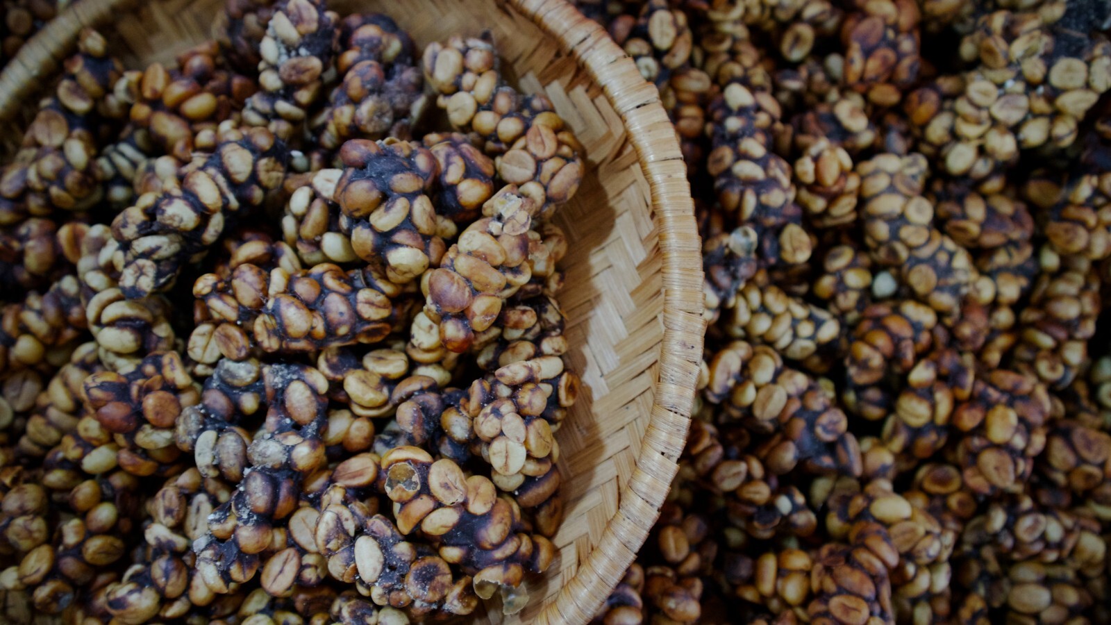 1 lb authentic Kopi Luwak Gayo wild Civet whole beans coffee roasted