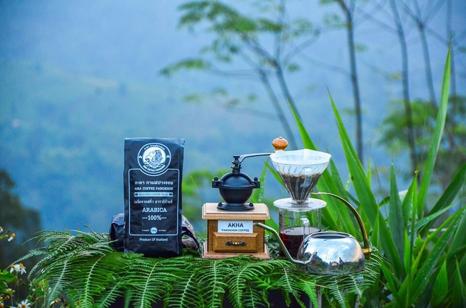 Roasted Coffee Beans AMA COFFEE PANGKHON 100% Arabica from Chiangrai Thailand