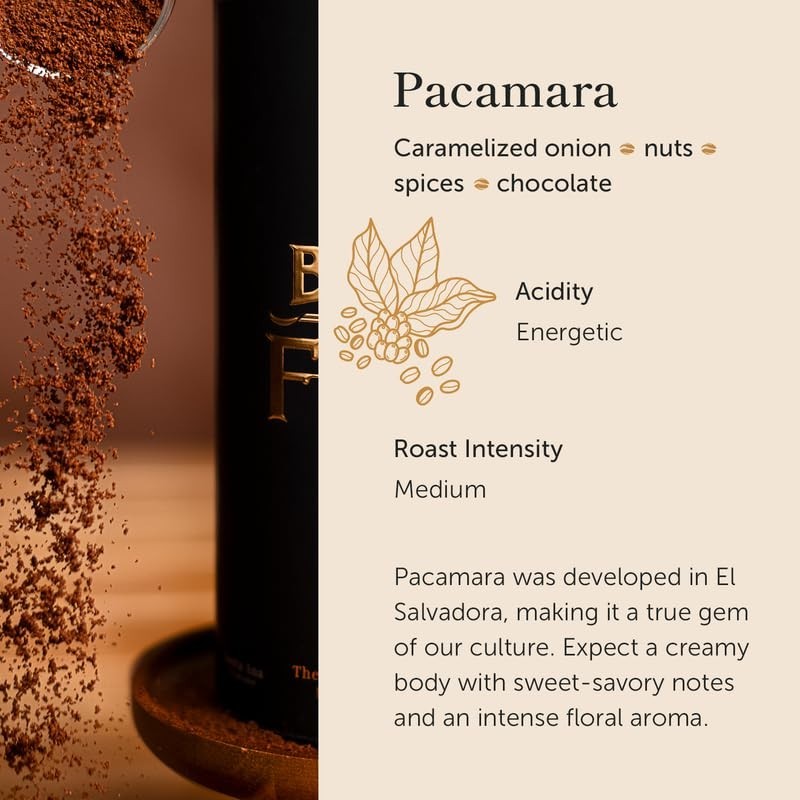 Savor 16 oz of Single Origin El Salvador Coffee – Medium Roast, Creamy & Nutty