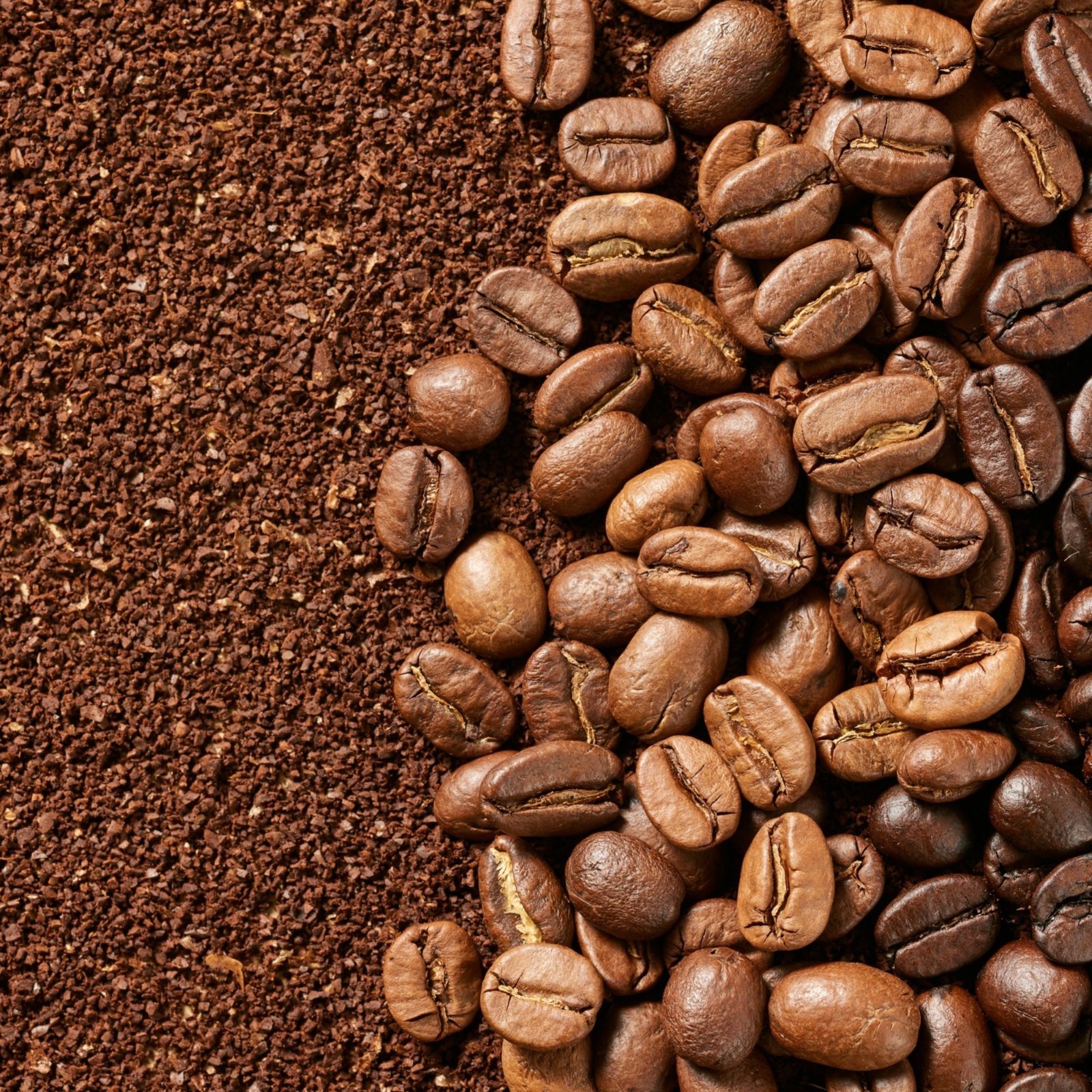 Indonesia Aceh Gayo Arabica Coffee Beans – Fresh Roasted Single Origin 1kg