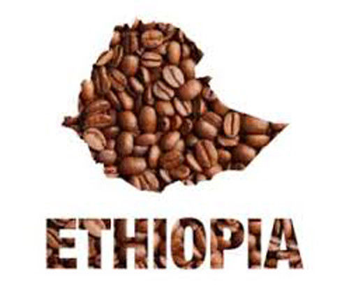 2, 5, 10 LB ETHIOPIA LEKEMPTI FRESH ROASTED COFFEE WHOLE BEAN, GROUND