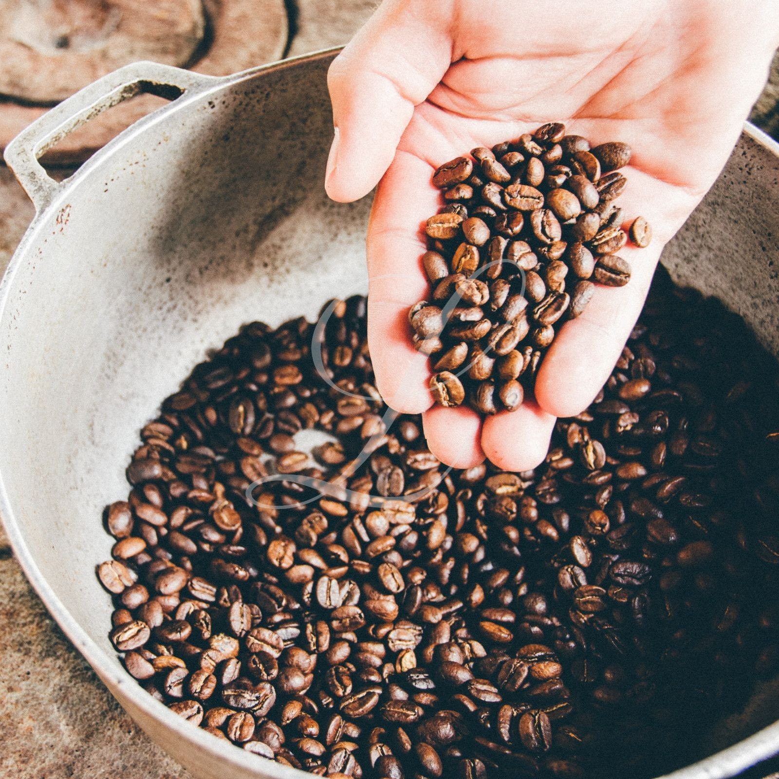 10 lb COMBO OF 100% Jamaica Blue Mountain & Kona Extra Fancy Coffee ~ Free Ship!