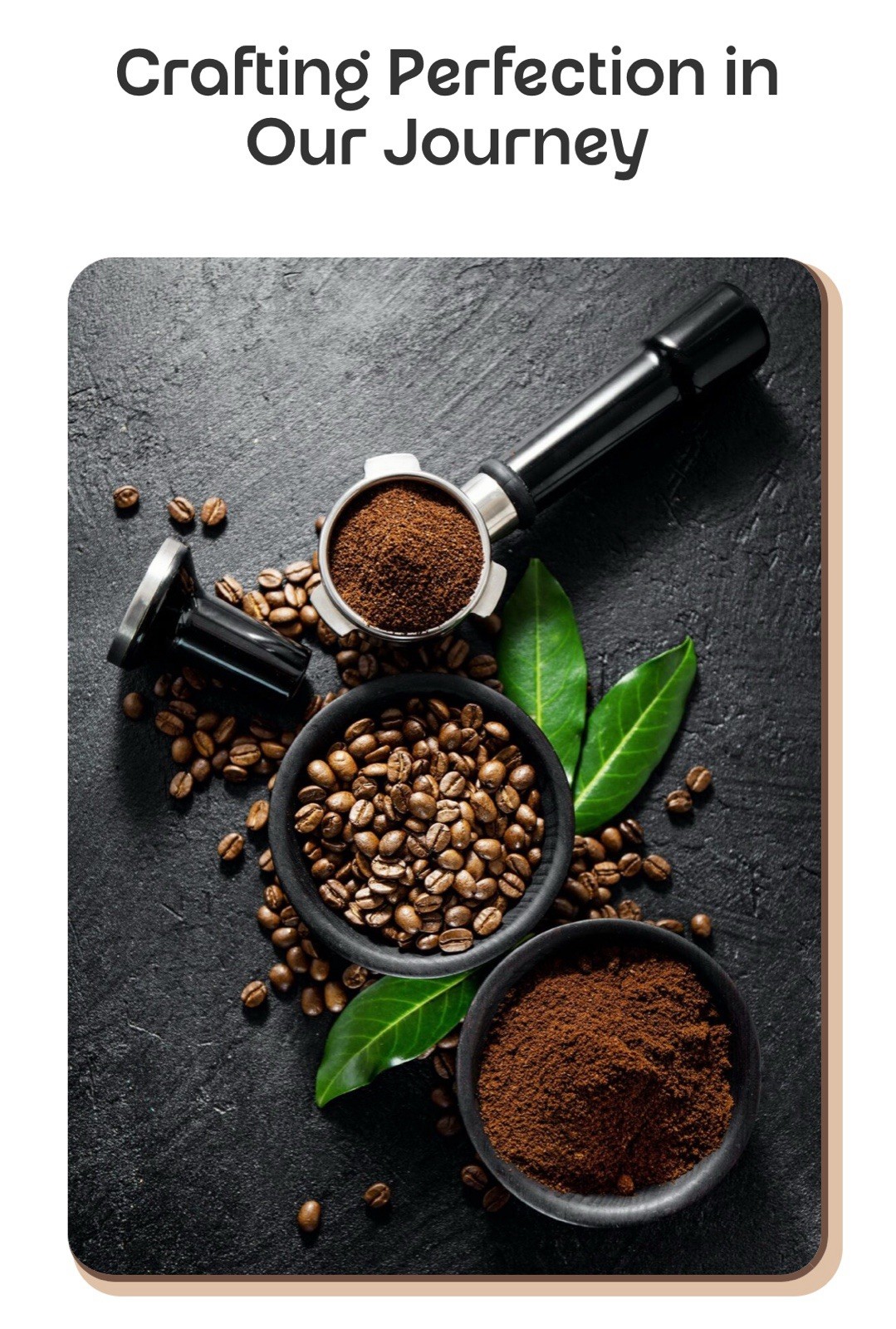 Uganda Light Roast ,Ethiopia and Columbia Medium Roast Organic Whole Bean Coffee