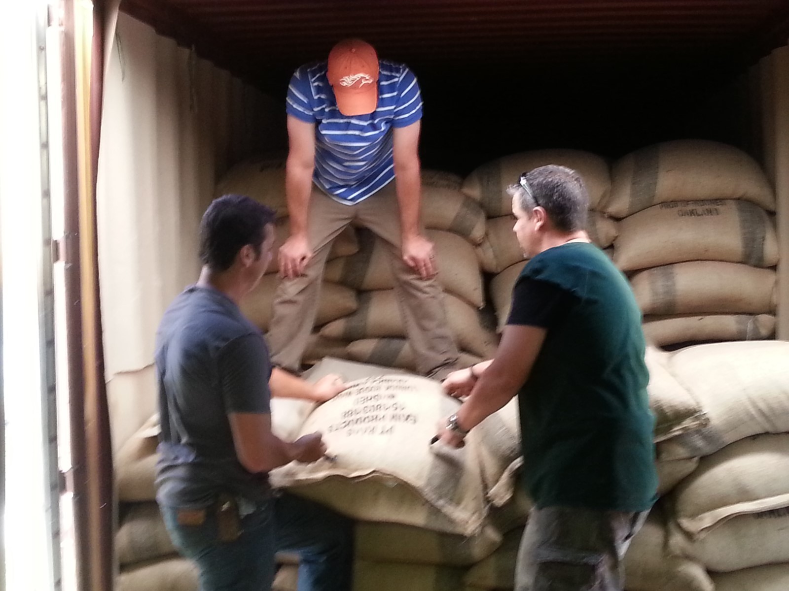 Kenya AA Plus Arabica Direct Trade Green or Roasted Coffee 1 to 15 lbs