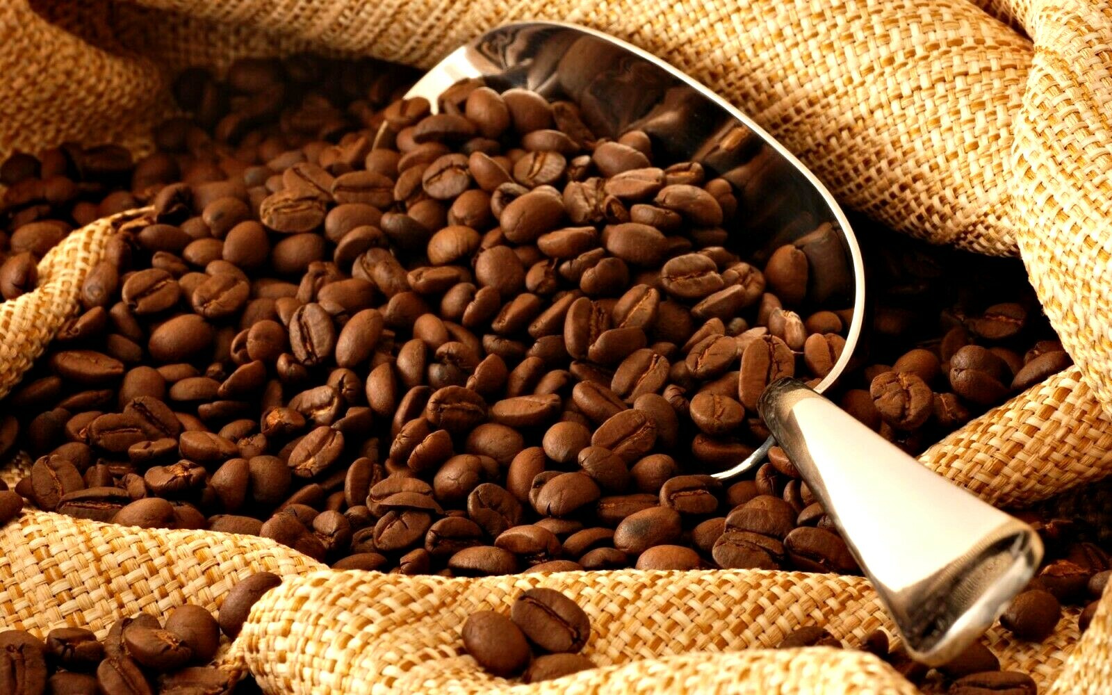 100% Organic Colombian Medium Whole Roasted Coffee Beans (select Weight)