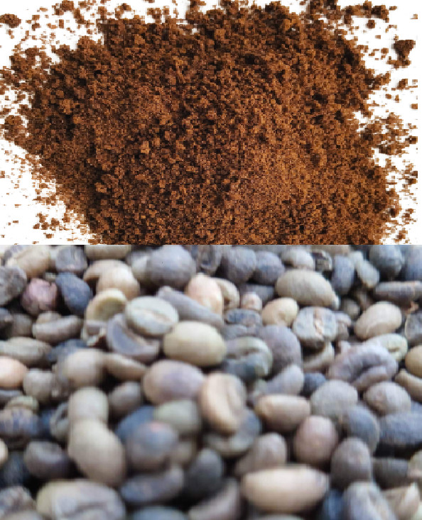 Ceylon Black Coffee Seed Pure Natural Fresh Sun Dried Beans 100% High Quality