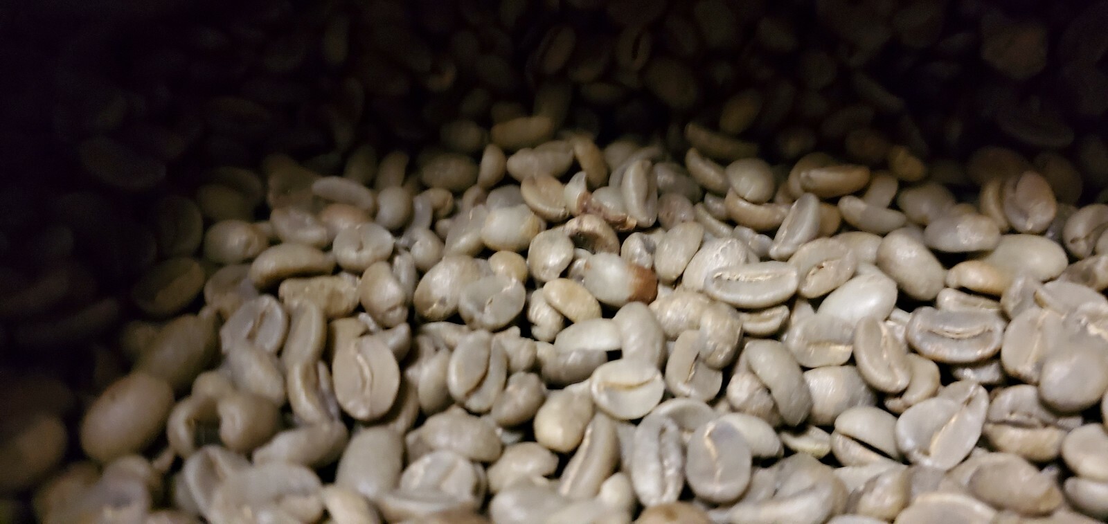 5 LBS PAPUA NEW GUINEA UNROASTED GREEN COFFEE BEANS – ARABICA