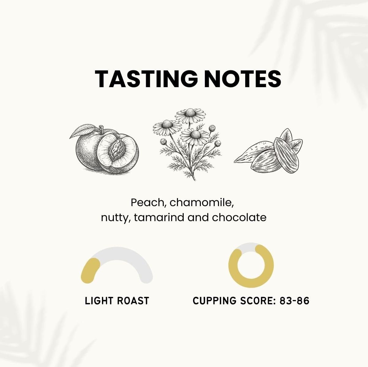 – Altura Mexican Light Roast, Gourmet Blonde Roast, Air Roasted Arabica Coffe…