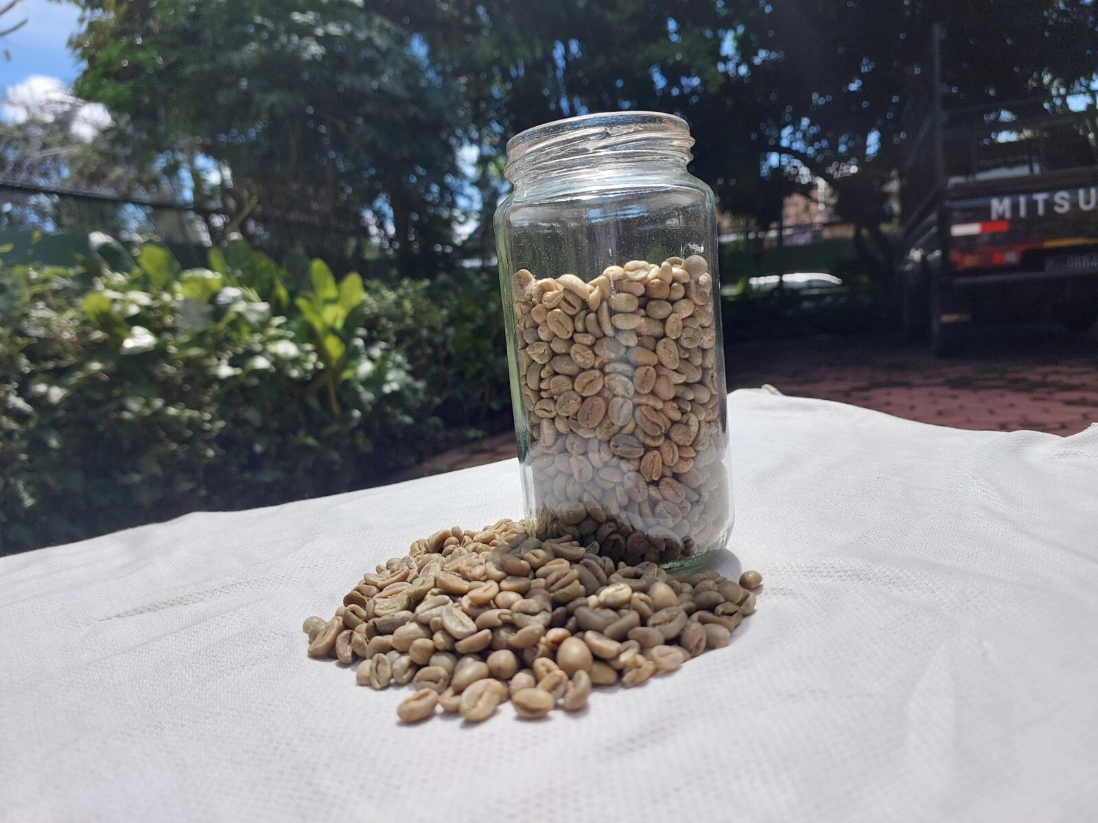 10 lb, le Cafe de Bondowoso – Arabica Coffee