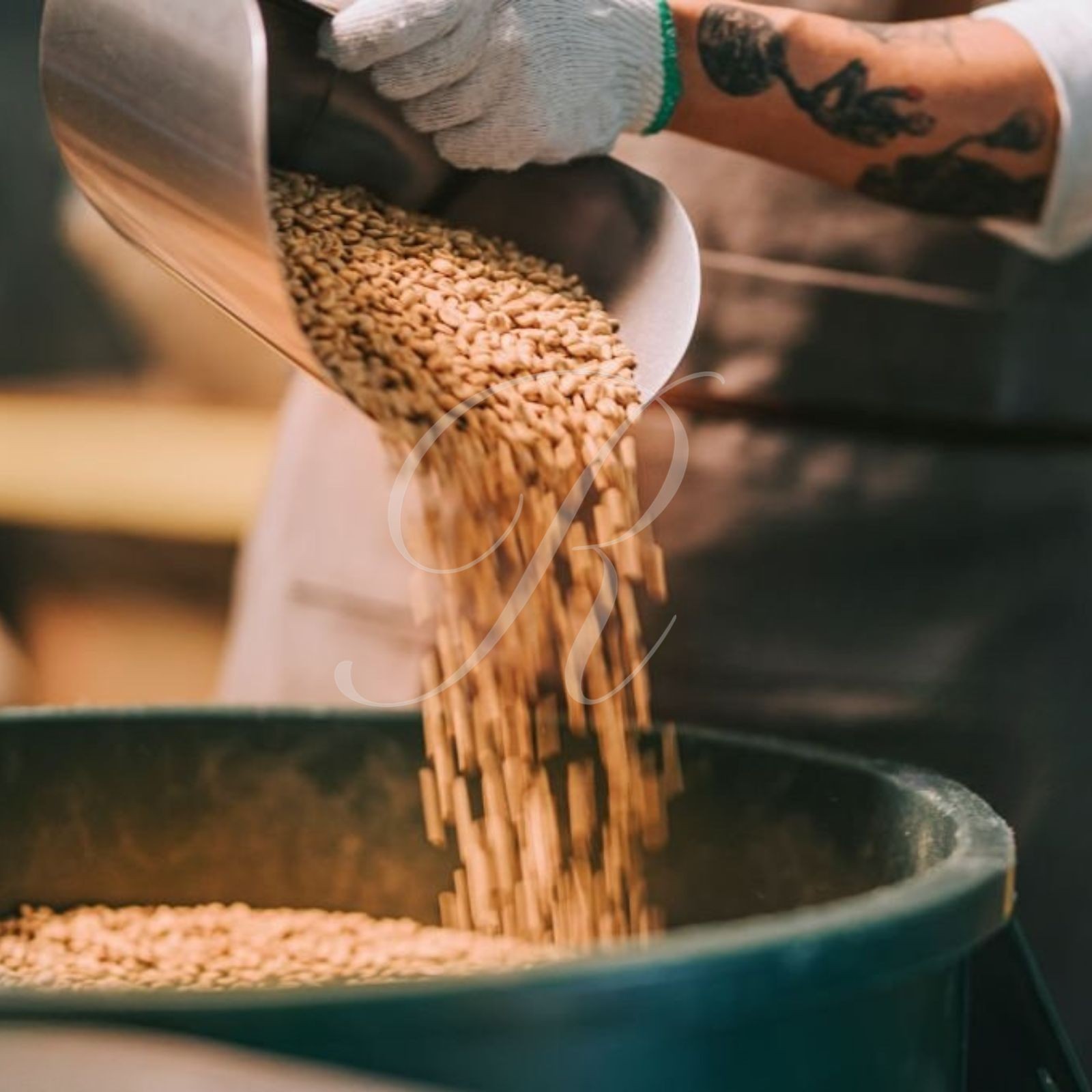 100% Hawaiian Kona Coffee • Extra Fancy • Roasted to Order • 5 x 1 lb Burlap Bag