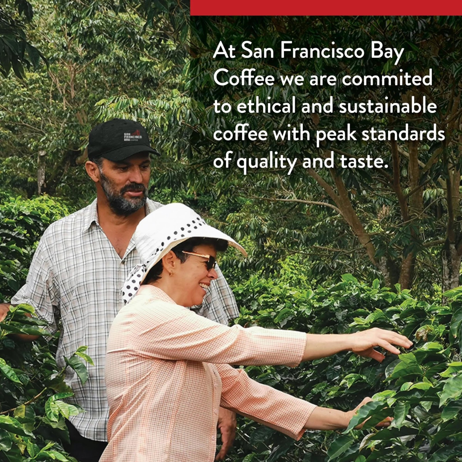 Coffee – Dark Roast Whole Bean Coffee – French Roast (2 lb bag)
