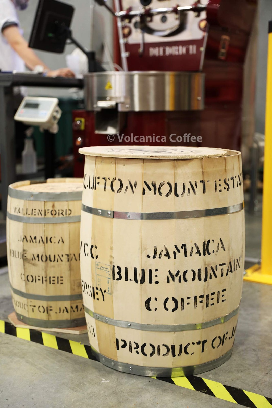 Jamaica Blue Mountain Coffee Blend, Whole Bean, Fresh 16 Ounce (Pack of 1)