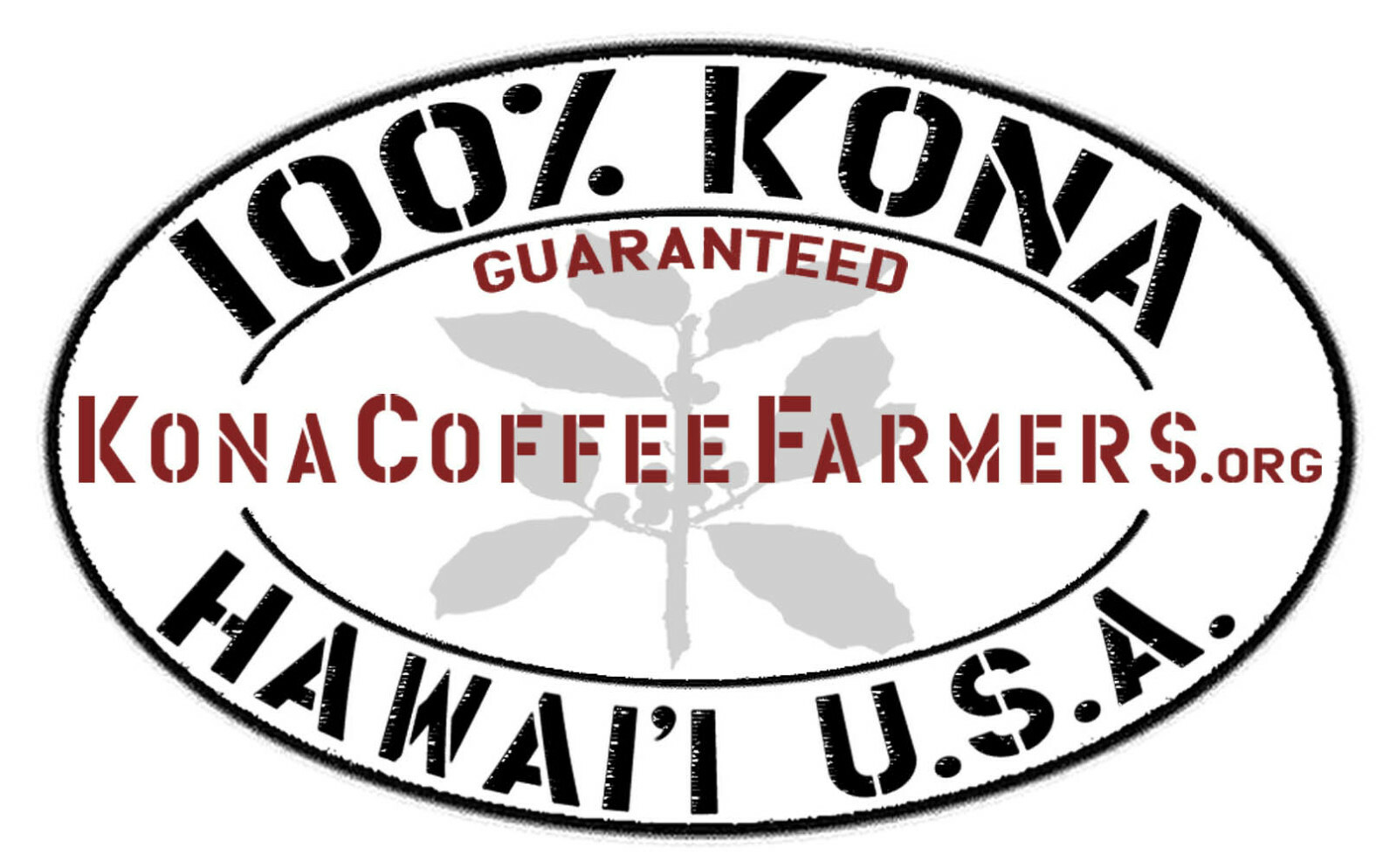 Kona 100% Hawaiian Coffee Beans Dark Roasted Daily 10 – 1 Pound Bags