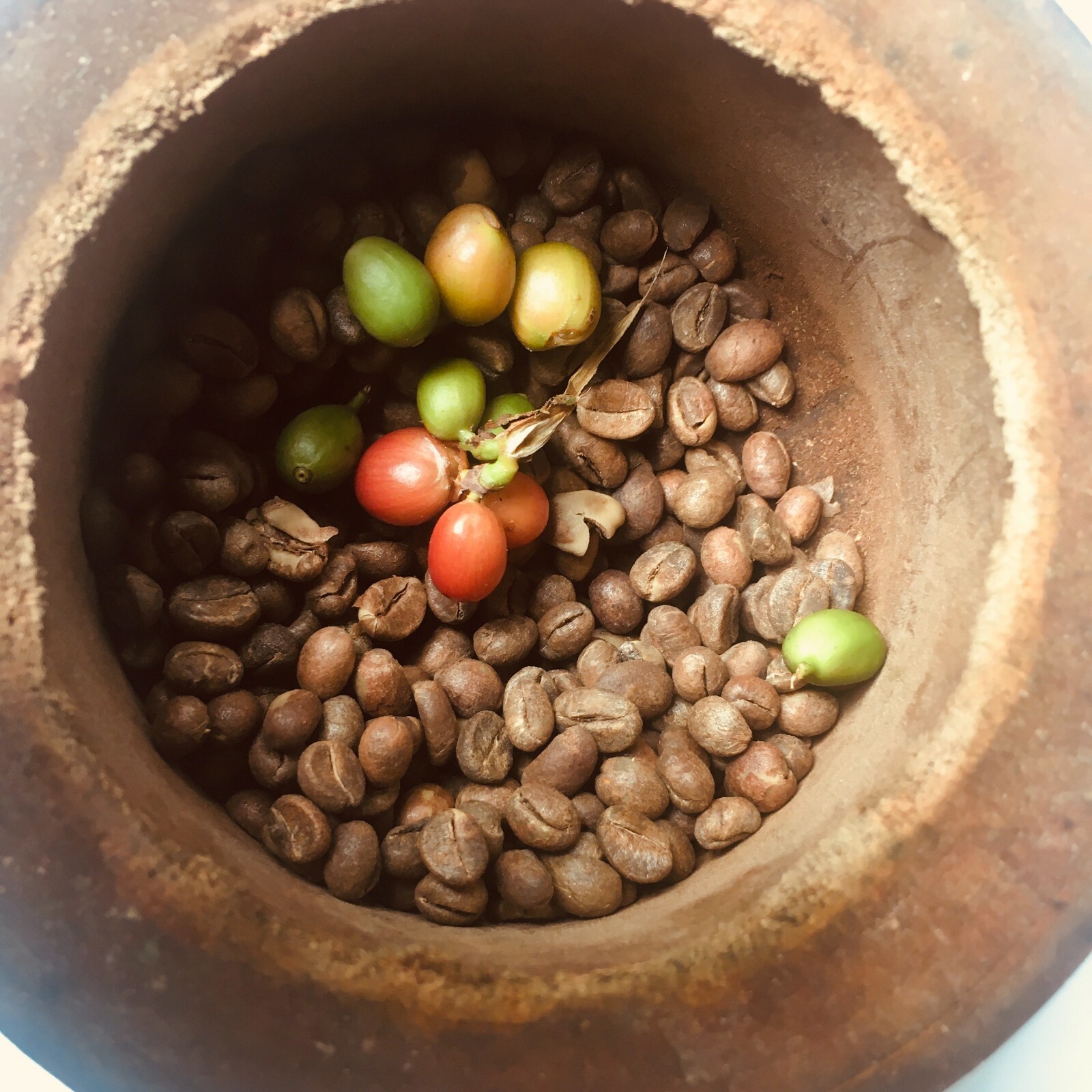 Ceylon 100% Pure Organic Natural Arabica Coffee Been Black Roasted Unroasted