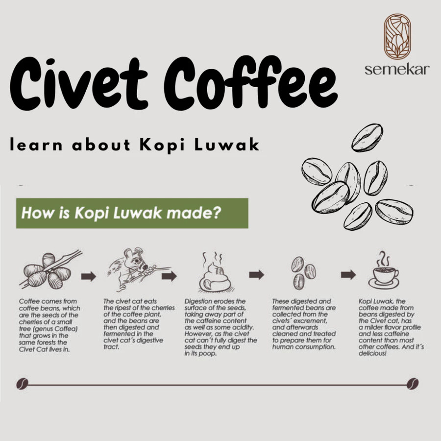 BEST NEW! Semekar Wild Luwak Civet Aceh Gayo Arabica Coffee – Fresh Roasted