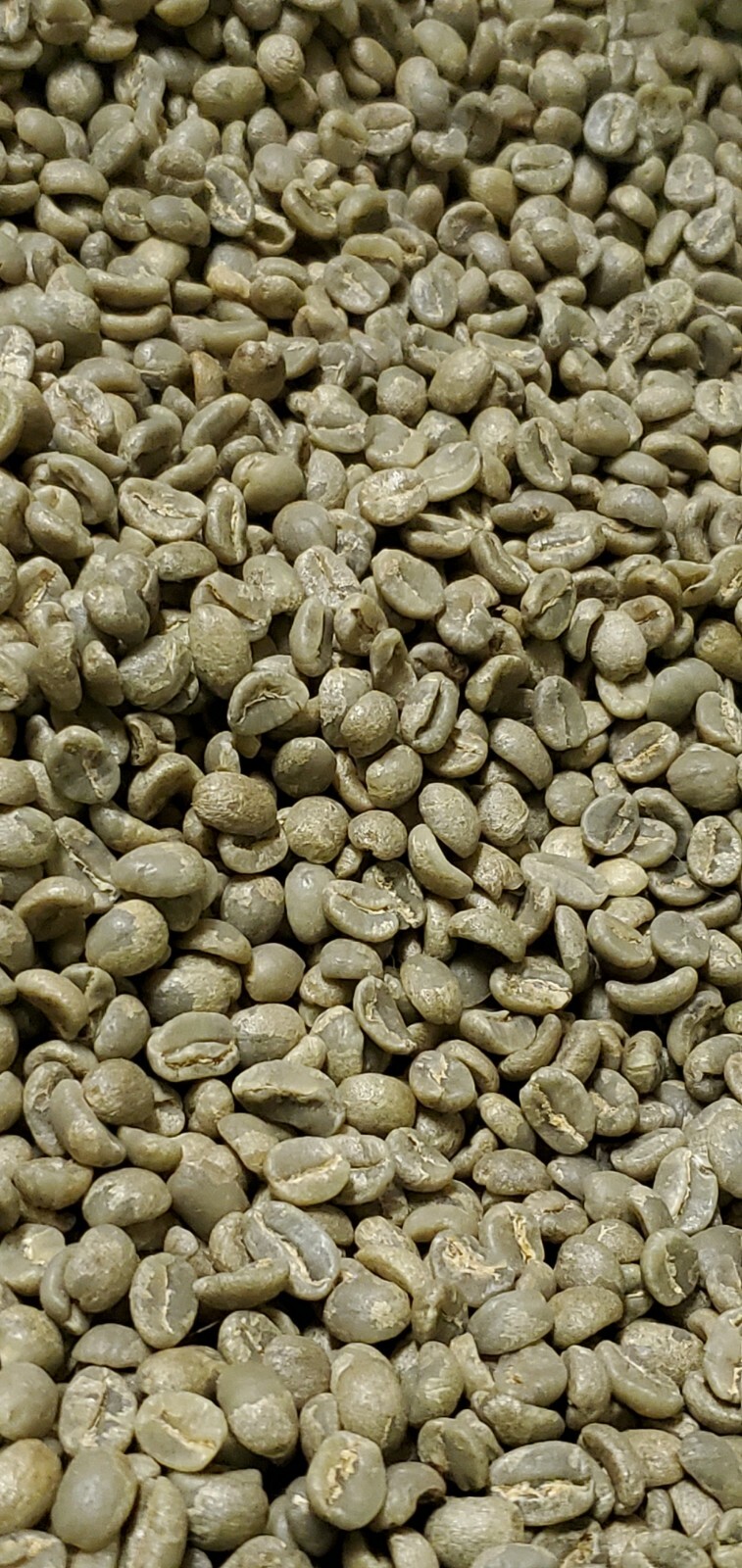 5 LB AFRICA KENYA KENYAN GREEN UNROASTED COFFEE BEANS FIVE POUND – ARABICA