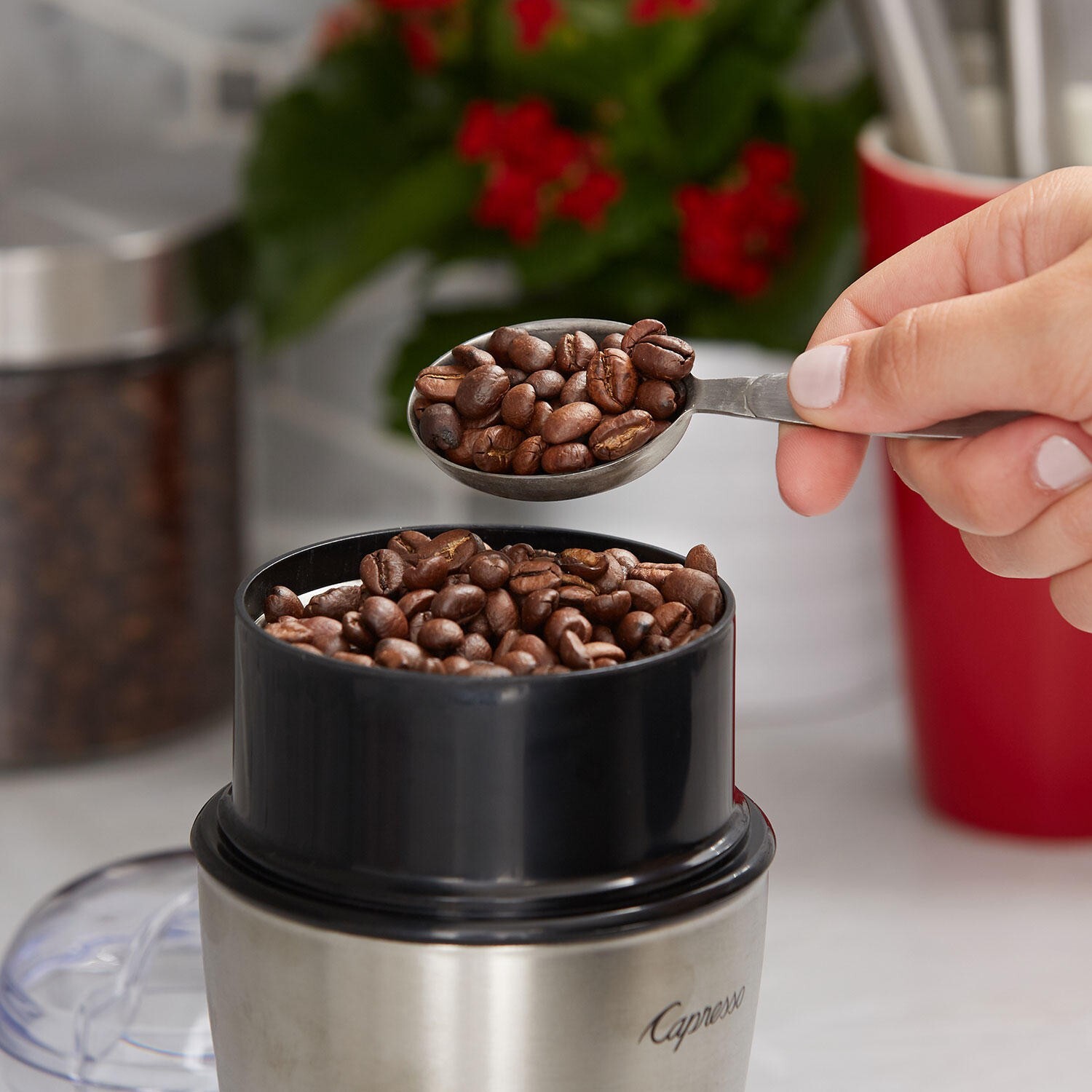 Tim Hortons Whole Bean Coffee, Medium Roast {32 oz.}