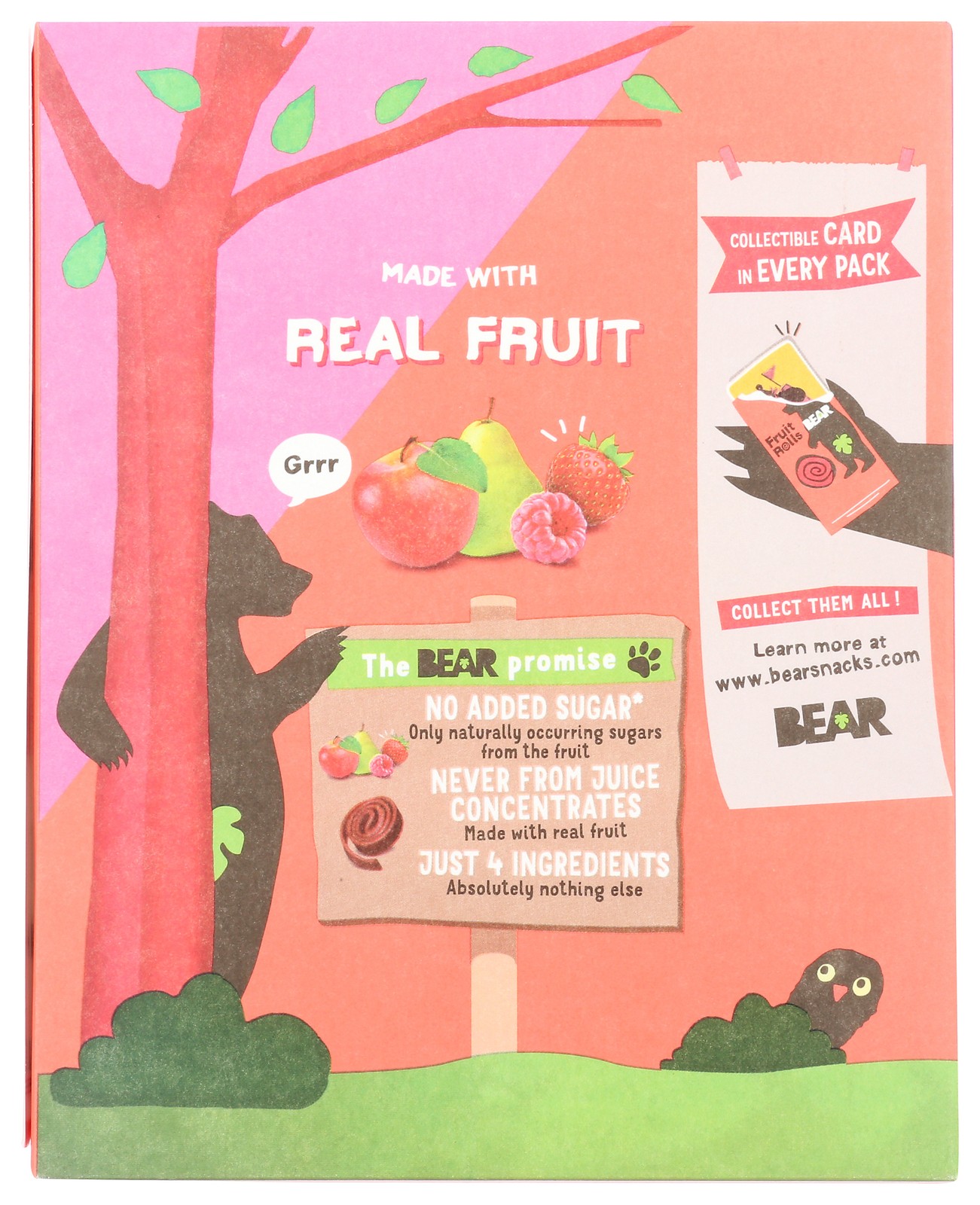 Bear Fruit Rolls Variety 0.7 Oz Snack 5 Pack