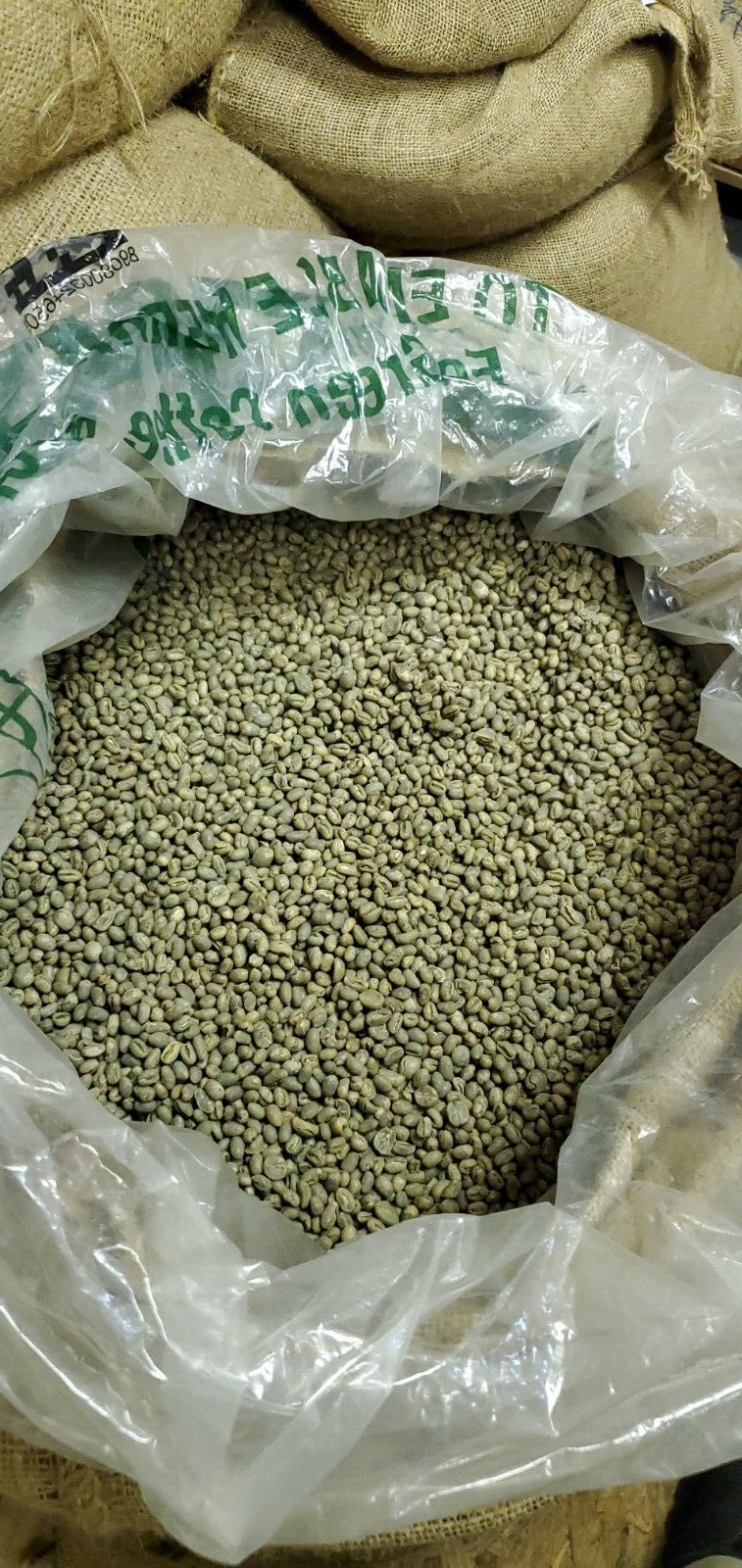 5 LB FRESH UNROASTED ZAMBIAN ZAMBIA PEABERRY GREEN COFFEE BEANS – ARABICA