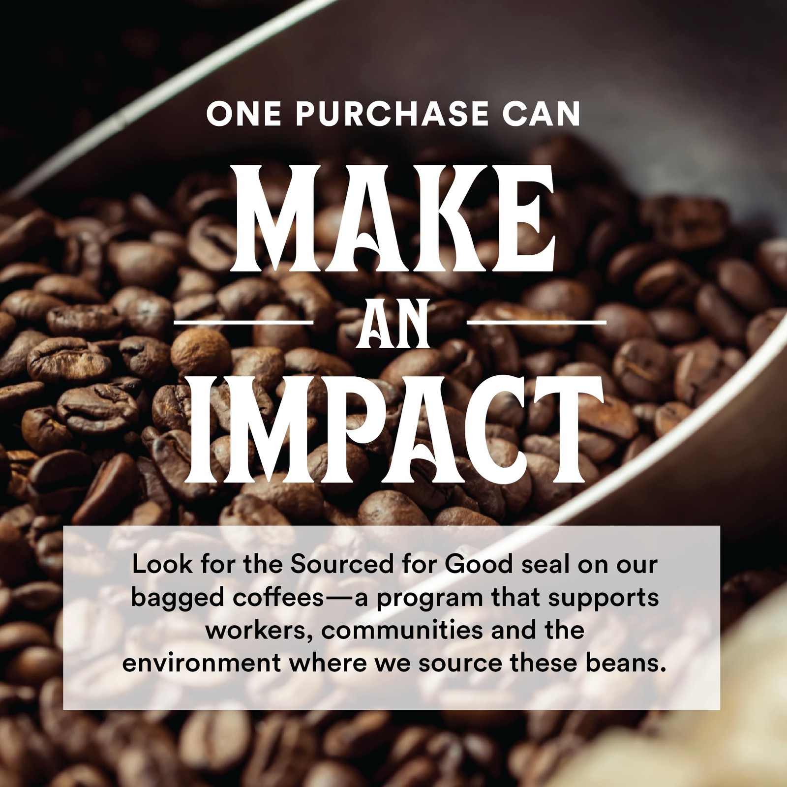 Organic Sierra Blend Whole Bean Coffee, Medium-Dark Roast, Dark Chocolate & Cara