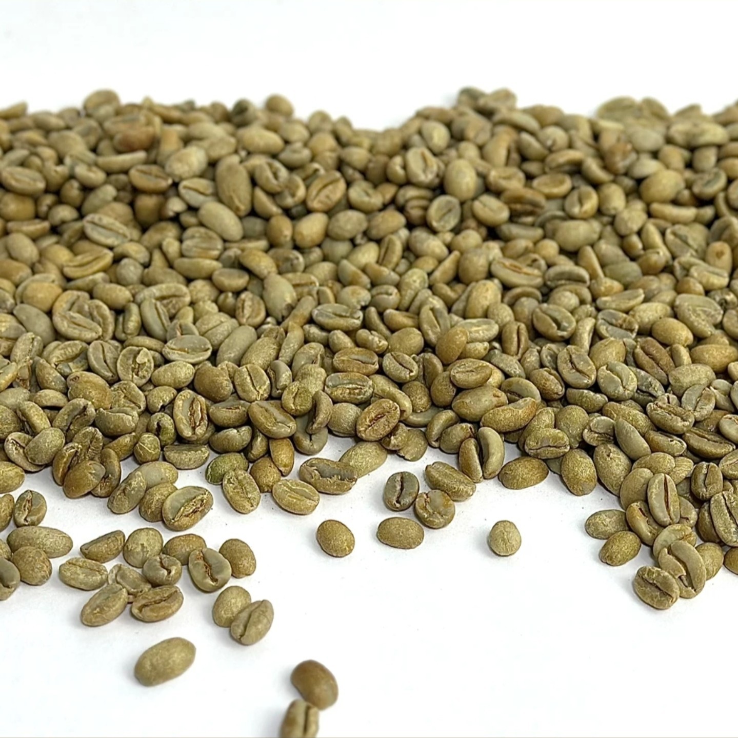 3lbs Ethiopia Green Unroasted Coffee Beans – Yirgacheffe “G2”