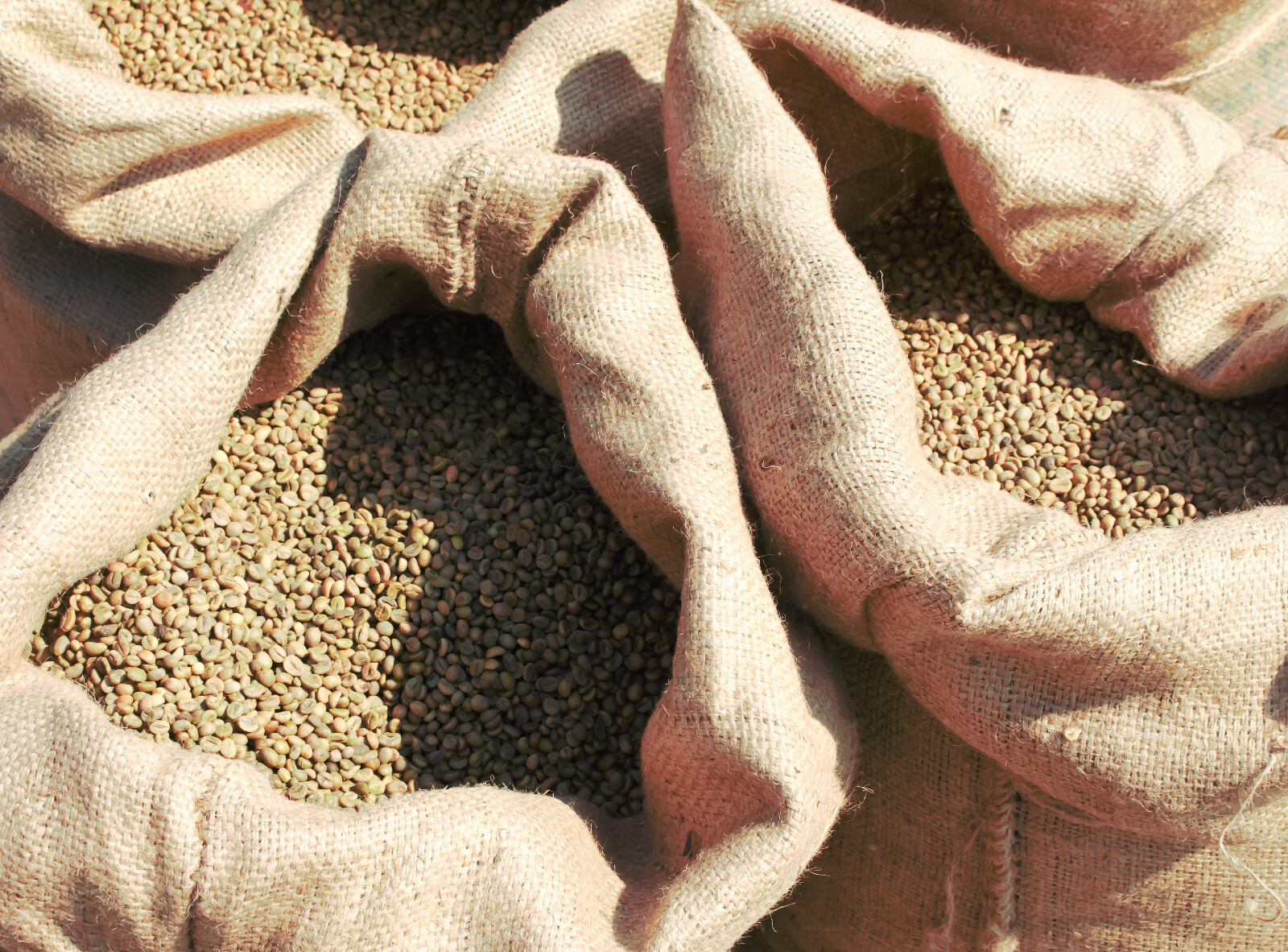 5 POUNDS green coffee beans – your choice of beans – MANY to choose from