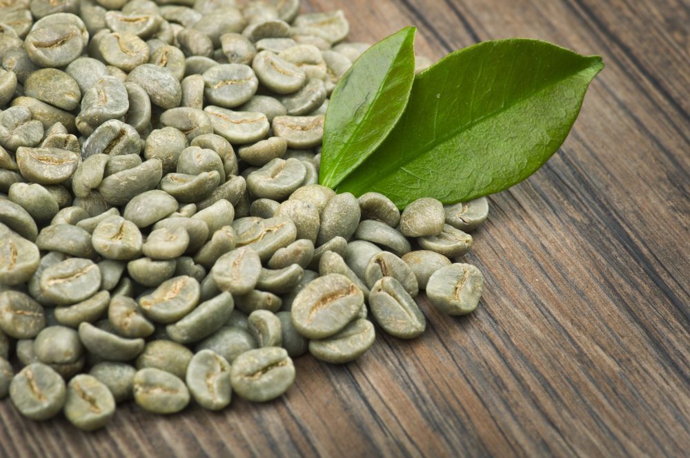 2lb/40lb – Papua New Guinea AA – Freshest Premium Unroasted Green Coffee Beans