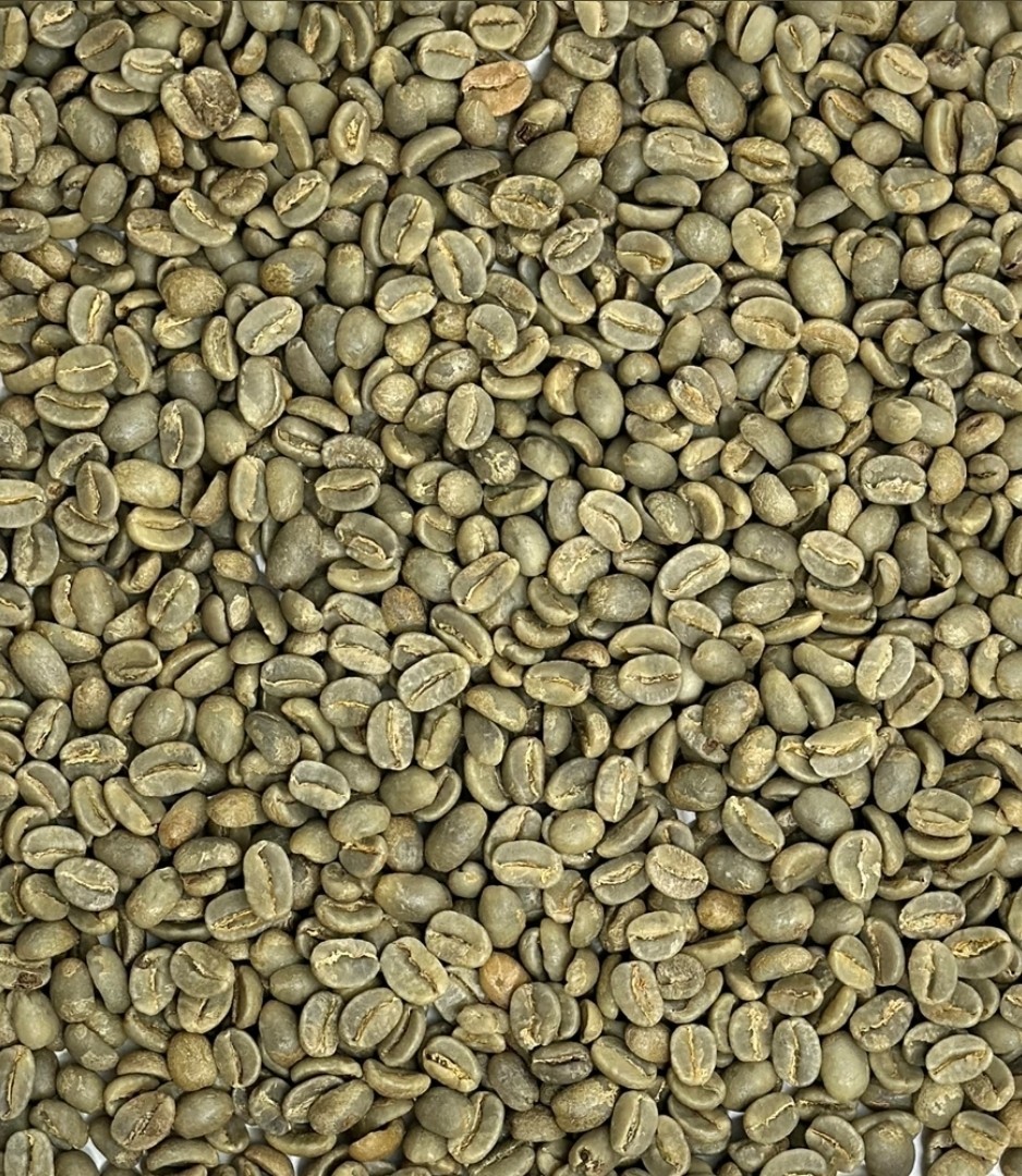 Green Coffee Beans / Ugandan Bugisu / 1 Pound / UNROASTED