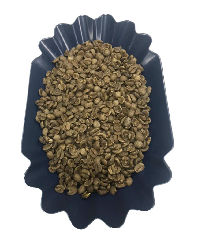 Swiss Water Decaf Green Coffee Beans 1 lb Five-Origin Blend