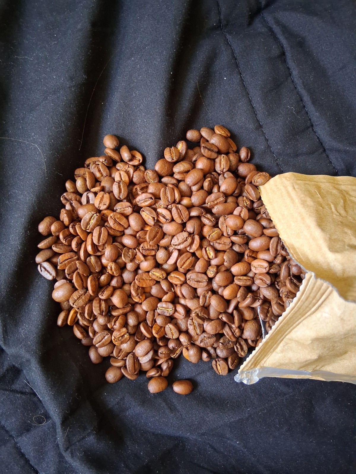 Specialty Ethiopia & Brazil Coffee Shop Blend — Summer 2025 Roast — 5 lb Bag