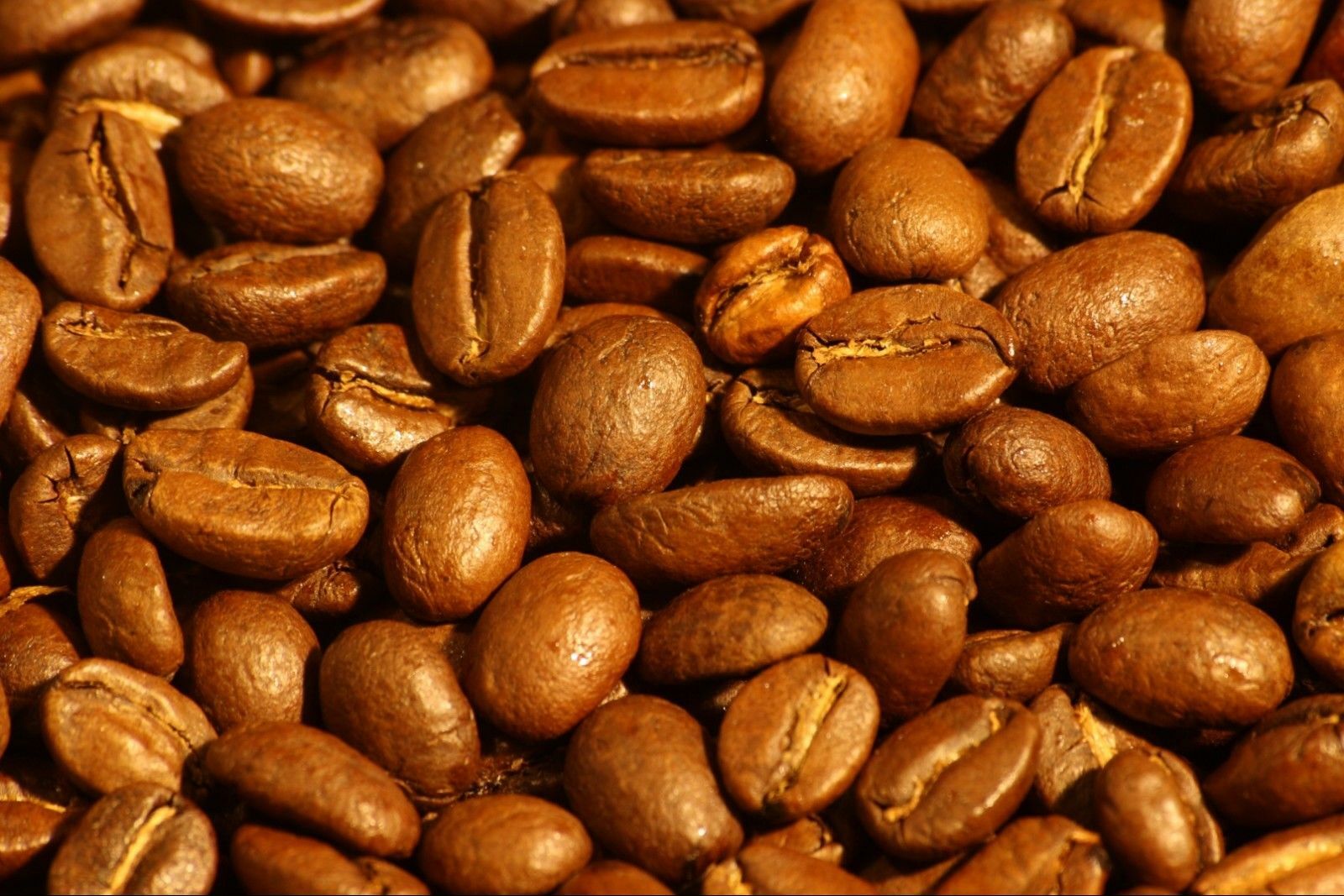 GUATEMALAN ANTIGUA COFFEE BEANS MEDIUM ROASTED 2 POUNDS