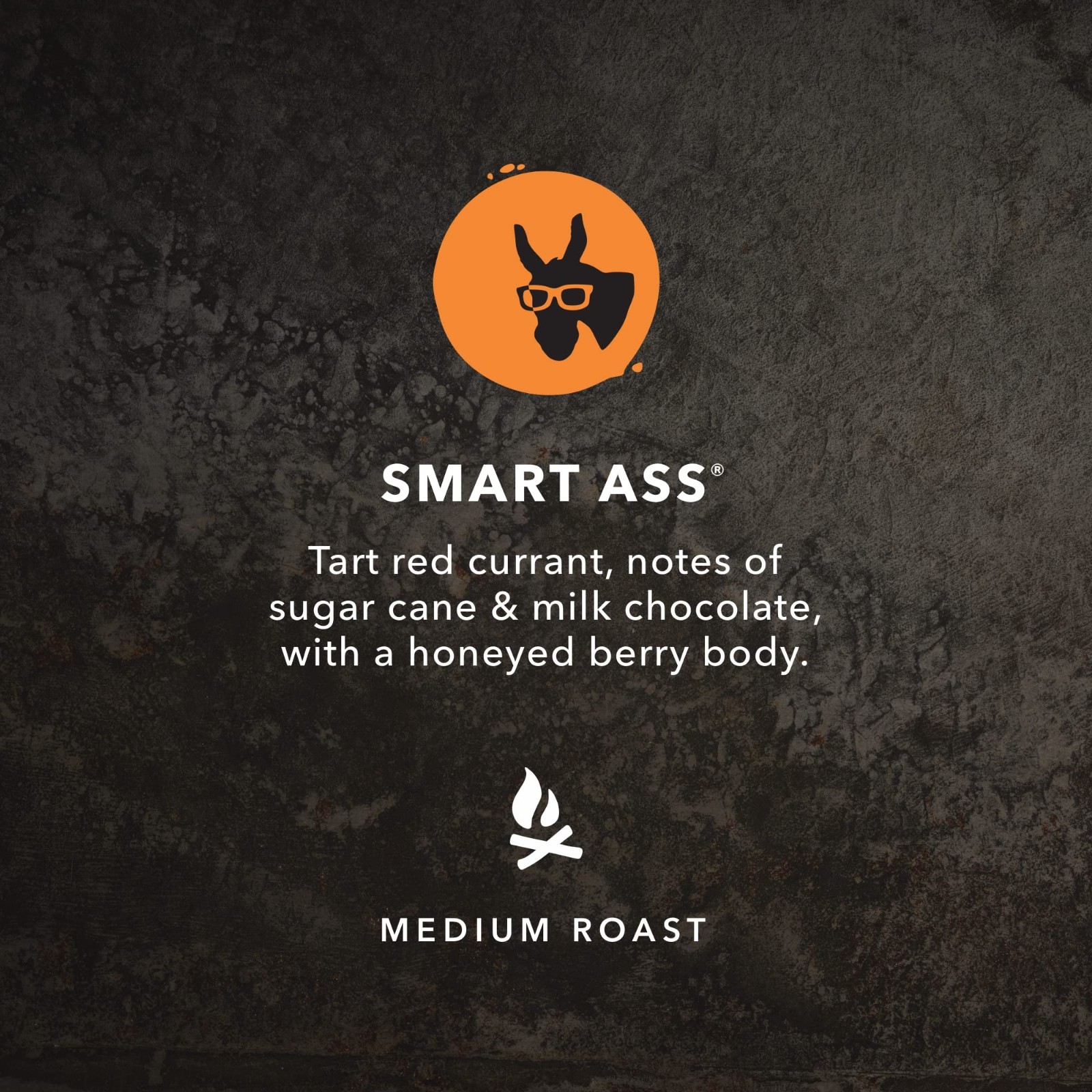 Medium Roast Whole Bean Coffee – Smart Ass Blend, 10 oz, Bold Flavor, Freshly Ro