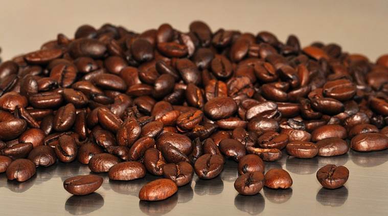 2, 5, 10 LB INDIA MONSOONED MALABAR FRESH ROASTED COFFEE WHOLE BEAN, GROUND