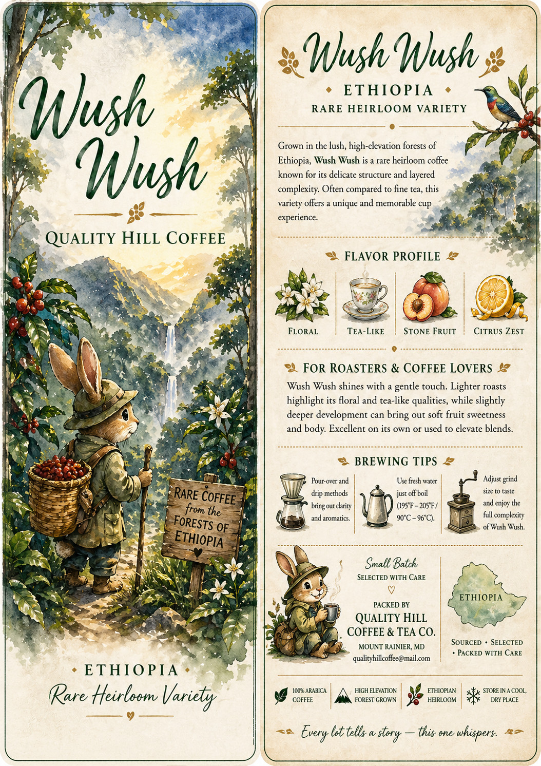 Rare Ethiopia Wush Wush Green Coffee 5 Pounds– Anaerobic Natural