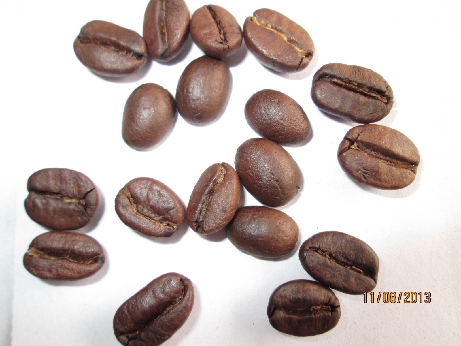 Arabica Medium roast Roasted coffee beans 1000gms