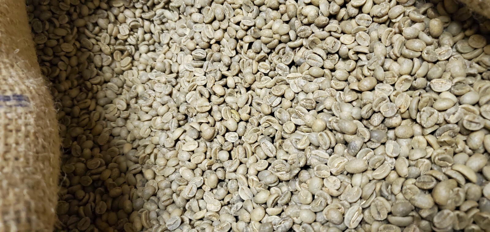 5 LB INDONESIA INDONESIAN JAVA UNROASTED GREEN COFFEE BEANS – ORGANIC ARABICA